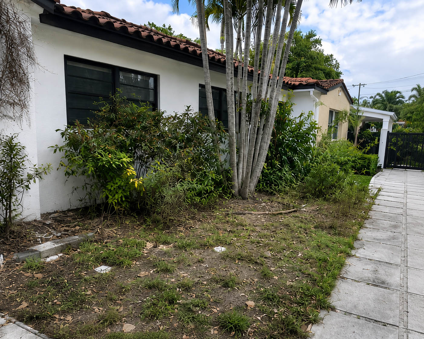 Before landscaping project
