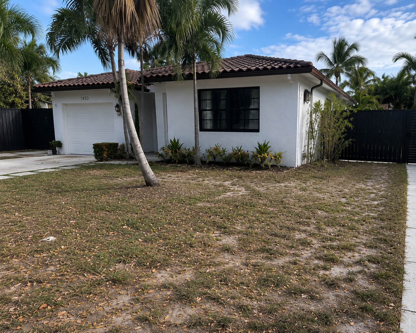 Before landscaping project