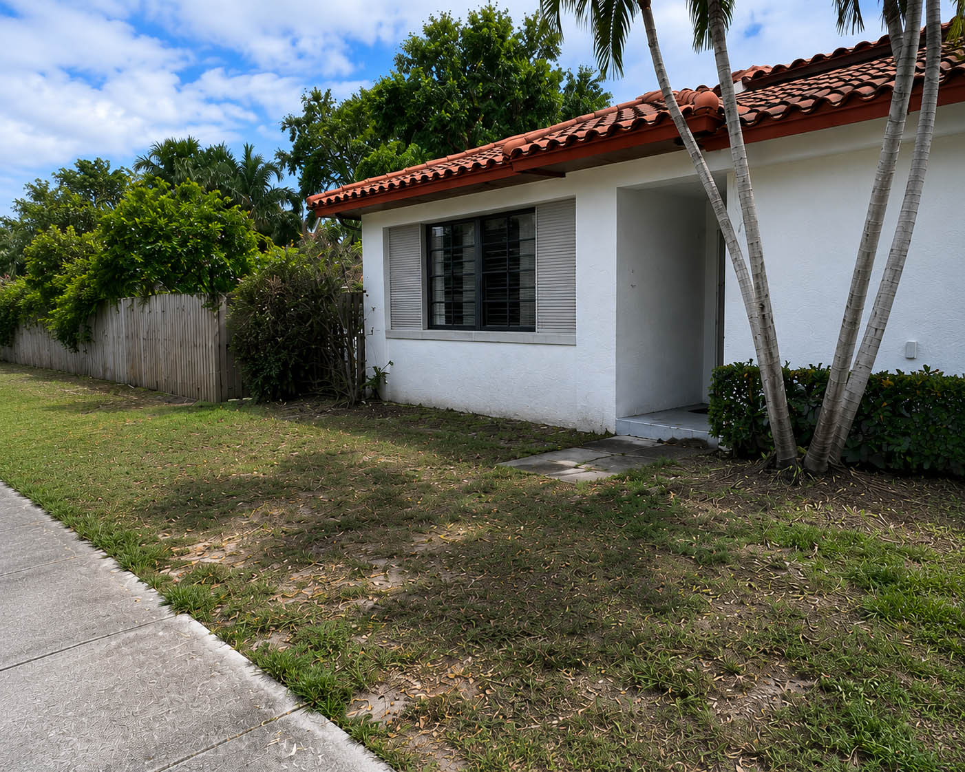 Before landscaping project