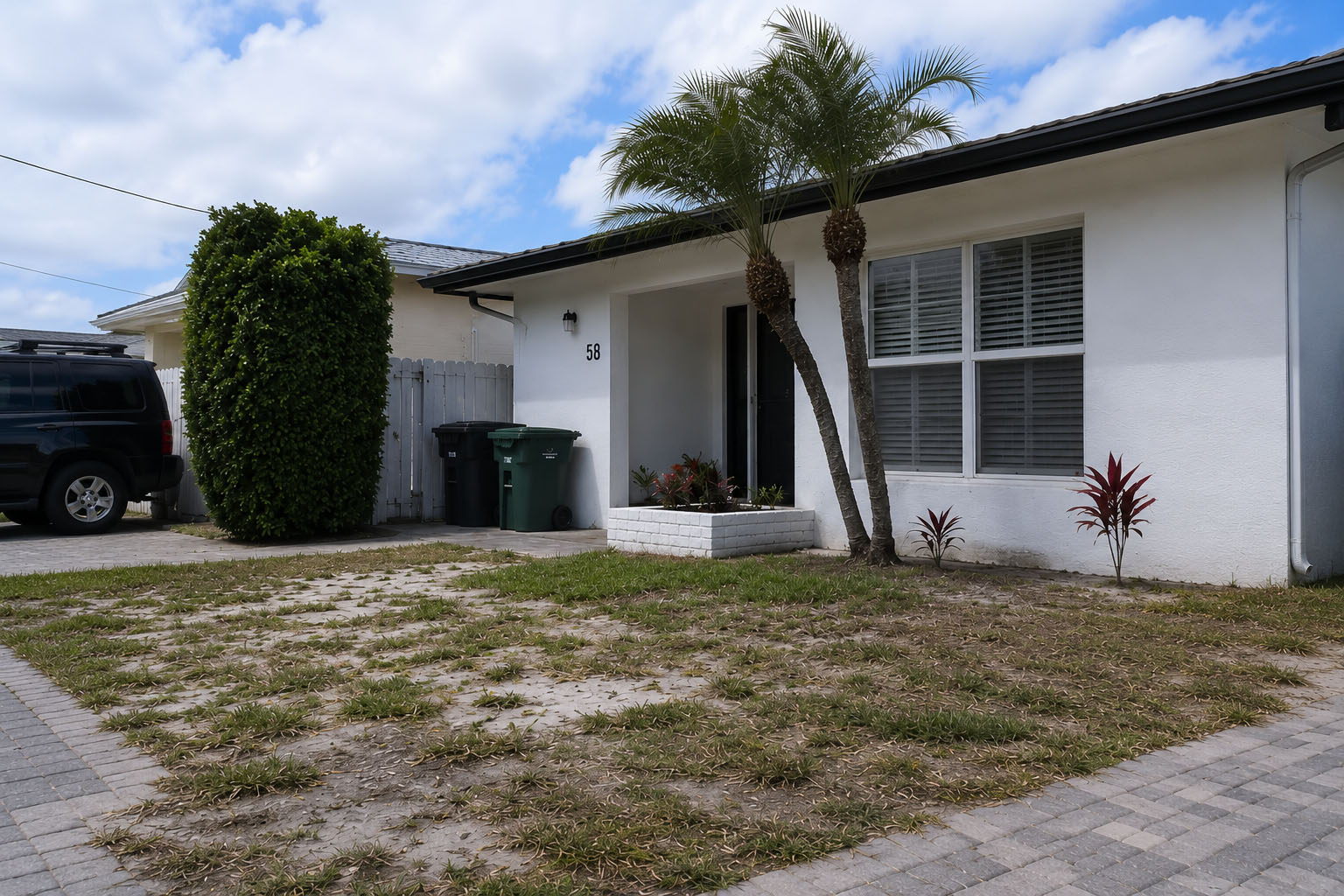 Before landscaping project